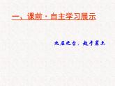 部编版高中语文必修下册 教学课件_祝福4