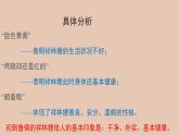 部编版高中语文必修下册 教学课件_祝福（第2课时）2
