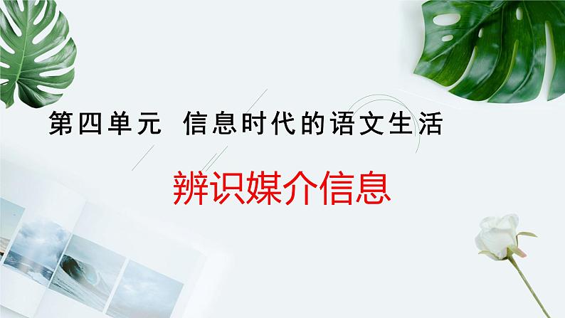 部编版高中语文必修下册 教学课件_信息时代的语文生活——辨识媒介信息01