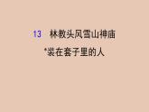 部編版高中語文必修下冊 教學課件_ 林教頭風雪山神廟　裝在套子里的人2