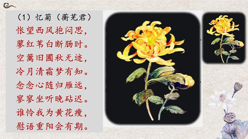 菊花诗（上）-高中语文《红楼梦》整本书阅读之诗词曲赋名篇鉴赏系列课件（统编版必修下册）05