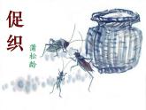 部编版必修下册14.1《促织》课件（54张PPT）