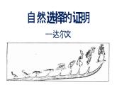 2021-2022学年统编版高中语文选择性必修下册13-1《自然选择的证明》课件29张