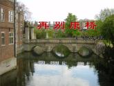 部编版高中语文选择性必修下册 教学课件_再别康桥4