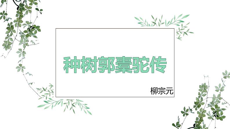 部编版高中语文选择性必修下册 教学课件_种树郭橐驼传3第1页