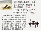 2021-2022学年统编版高中语文必修下册14.1《促织》课件20张