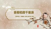 高中语文人教统编版必修 上册4.1 喜看稻菽千重浪――记首届国家最高科技奖获得者袁隆平优秀课件ppt
