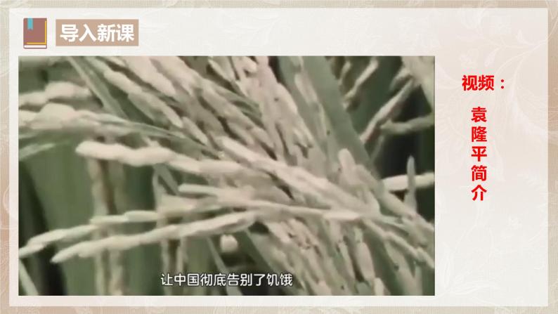 第二单元第一节《喜看稻菽千重浪》第一课时课件+教案08