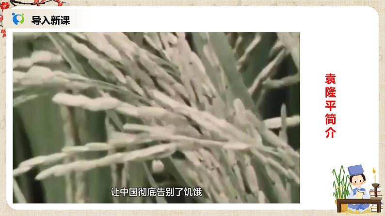 第二单元第一节《喜看稻菽千重浪》第一课时课件第8页
