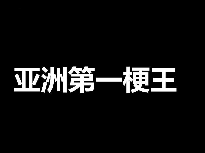 统编版高中语文必修上册12《拿来主义》课件（40页PPT）03