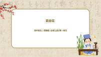 人教统编版必修 上册3.1 百合花教学课件ppt