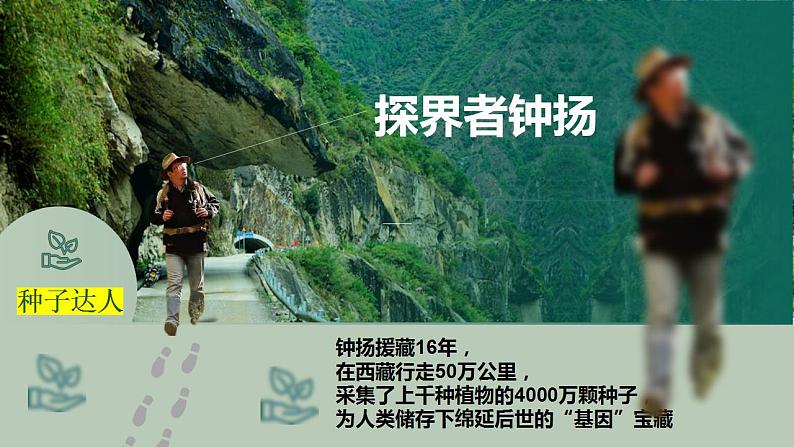 2022-2023学年统编版高中语文必修上册4.3《“探界者”钟扬》课件19张第1页