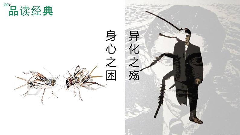 2021-2022学年统编版高中语文必修下册14《促织》《变形记（节选）》联读课件21张第3页