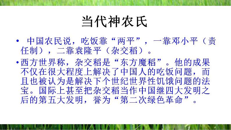 2022-2023学年统编版高中语文必修上册4.1《喜看稻菽千重浪》课件36张第6页