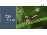 14.1《促织》课件21张+2021-2022学年统编版高中语文必修下册