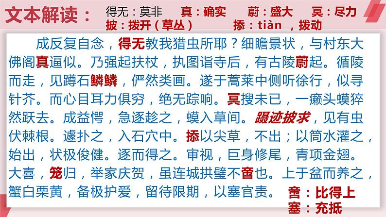 14.1《促织》课件21张+2021-2022学年统编版高中语文必修下册08