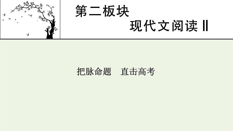 高考语文一轮复习第2板块现代文阅读ⅱ课件01