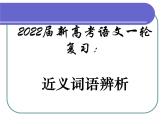 2022届新高考语文一轮复习：近义词语辨析课件38张