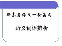 新高考语文一轮复习：近义词语辨析课件38张