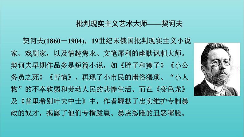 部编版高中语文必修下册第6单元13林教头风雪山神庙装在套子里的人课件08