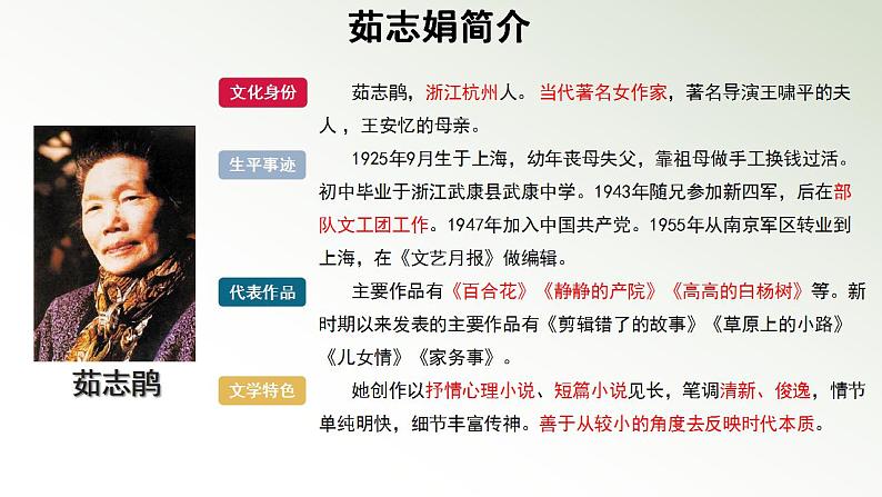 2022-2023学年统编版高中语文必修上册3.1《百合花》课件24张第3页