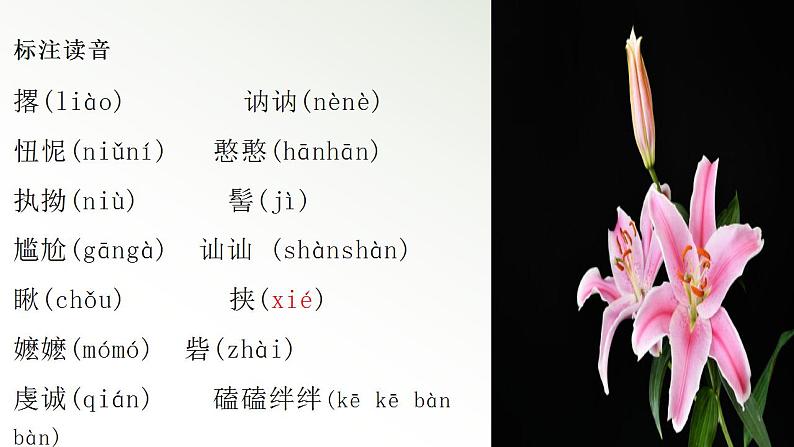 2022-2023学年统编版高中语文必修上册3.1《百合花》课件24张第6页