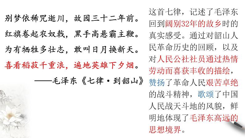 2022-2023学年高中语文统编版必修上册4.《喜看稻菽千重浪》《心有一团火，温暖众人心》《“探界者”钟扬》课件38张第2页