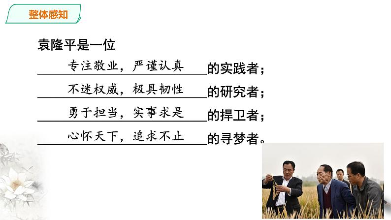 2022-2023学年高中语文统编版必修上册4.《喜看稻菽千重浪》《心有一团火，温暖众人心》《“探界者”钟扬》课件38张第3页