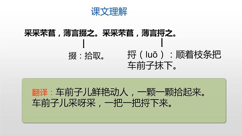 2022-2023学年统编版高中语文必修上册6.《芣苢》《插秧歌》课件37张08