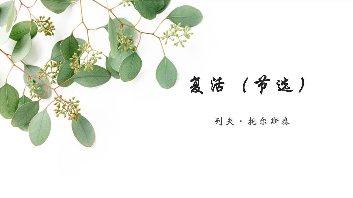2022-2023学年统编版高中语文选择性必修上册9.《复活（节选）》课件31张第1页