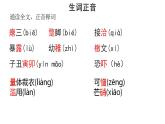 2022-2023学年统编版高中语文必修上册11.《反对党八股（节选）》课件31张