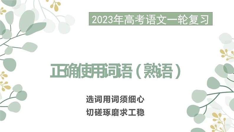 2023届高考一轮复习之正确使用词语 课件36张第1页