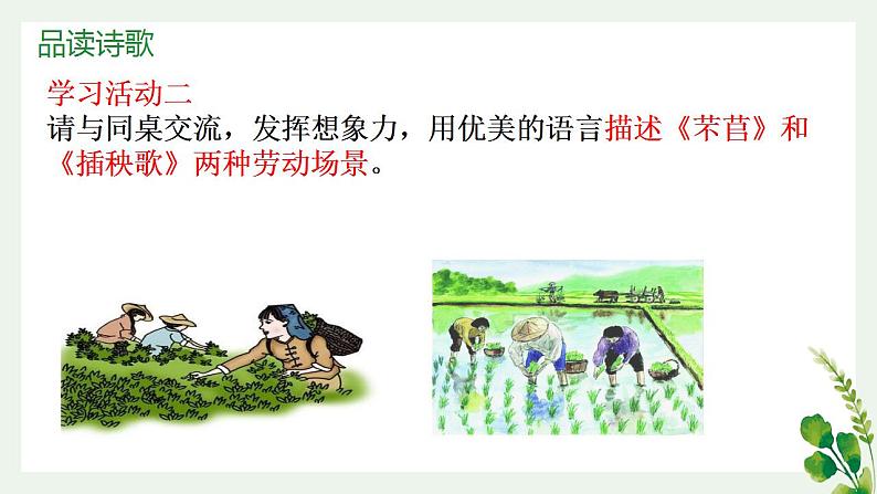 2021-2022学年部编版高中语文必修上册6《芣苢》《插秧歌》对比阅读课件17张第6页