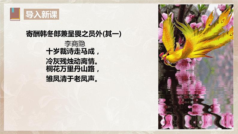 第六单元第四节《师说》第二课时课件+教案06