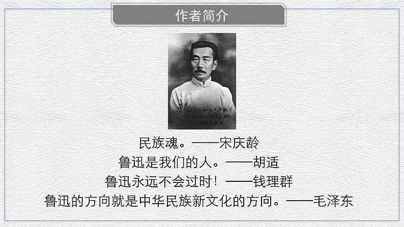 高中语文《祝福》“谁是凶手”系列之祥林嫂死亡事件《祝福》探究式学习（教学课件） 课件第6页