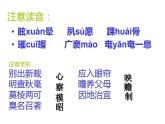 2021-2022学年统编版高中语文选择性必修下册13-2《宇宙的边疆》课件 16张