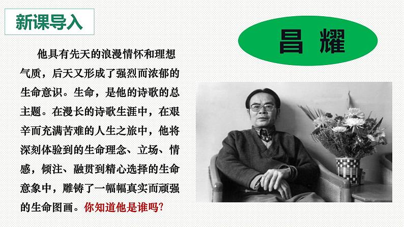 2022-2023学年统编版高中语文必修上册2.3《峨日朵雪峰之侧》课件27张第1页