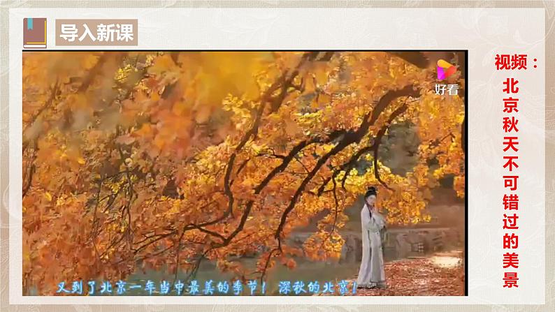 第七单元第二节《故都的秋》第二课时课件+教案04