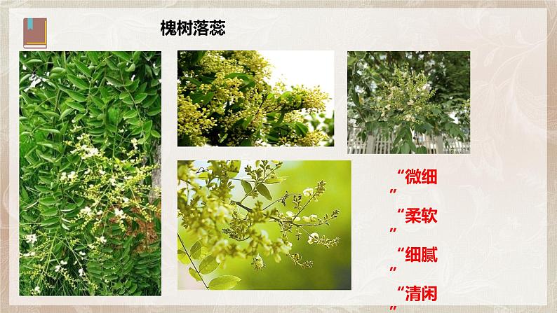第七单元第二节《故都的秋》第二课时课件+教案06