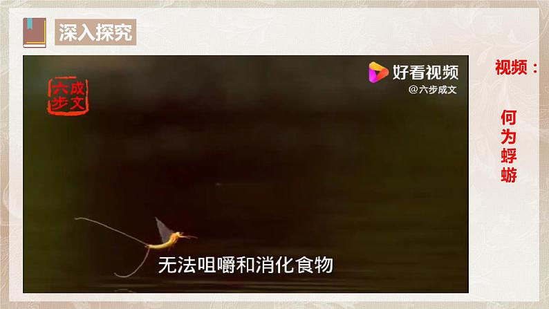 第七单元第八节《赤壁赋》第二课时课件+教案08