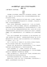 2023届高考语文一轮复习文学类文本阅读深化训练（11）