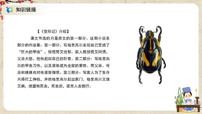 1.14.2《 变形记》课件+教案+练习06