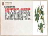 第八单元第三节《词义的辨析和词语的使用》课件+教案