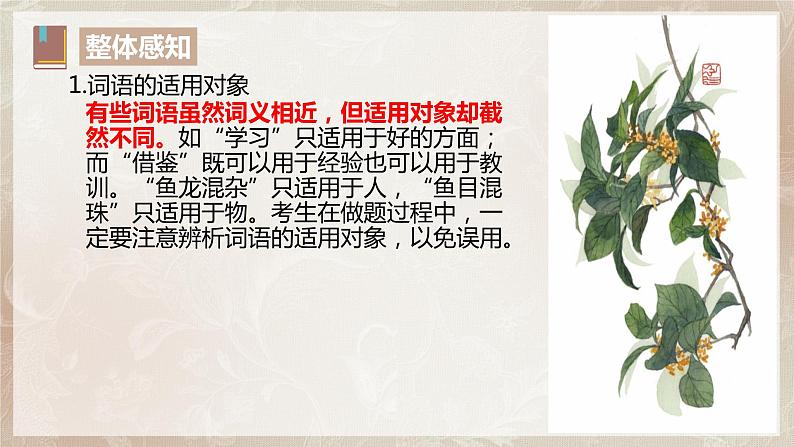 第八单元第三节《词义的辨析和词语的使用》课件+教案05
