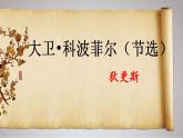 2022-2023学年统编版高中语文选择性必修上册8《 大卫 科波菲尔》课件40张