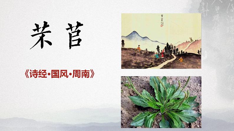 统编版必修上高中语文《诗经·芣苢》区优质课一等奖课件第1页