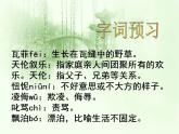 2021-2022学年统编版高中语文选择性必修下册6-1《大堰河，我的保姆》课件28张