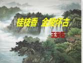 古诗词诵读《桂枝香·金陵怀古》课件32张++2021-2022学年统编版高中语文必修下册