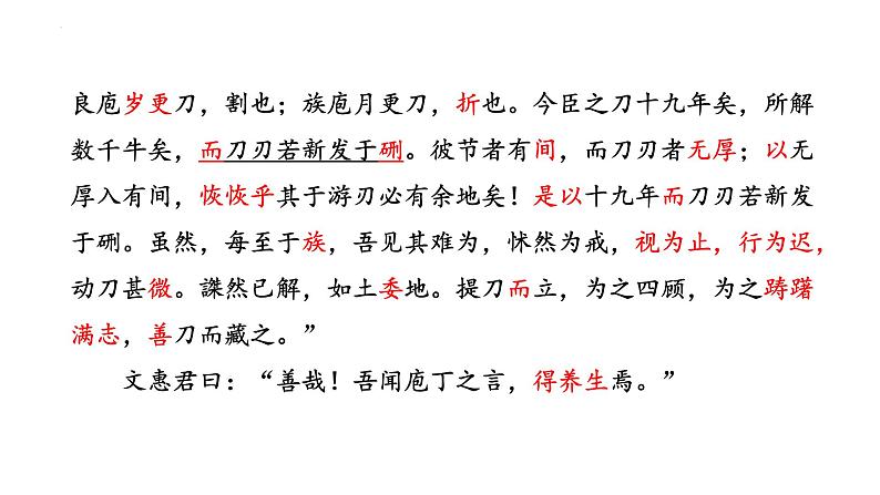 1.3+《庖丁解牛》+课件20张+2021-2022学年统编版高中语文必修下册+第3页