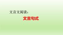 2023届高考语文一轮复习：文言文阅读——文言句式 课件29张